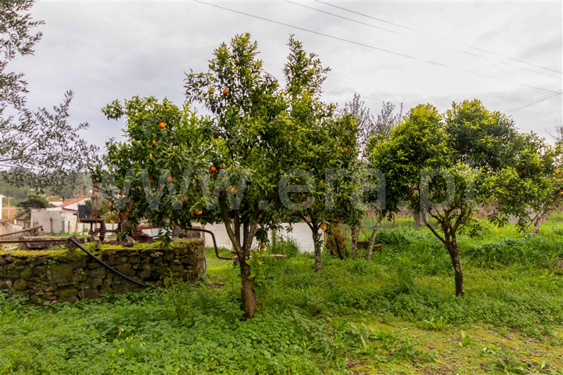 Moradia T2 Ferreira do Zêzere, Areias e Pias - 1378240 - 18
