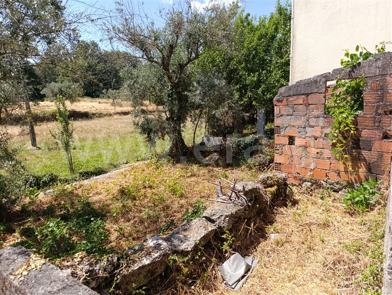Moradia T2 Fornos de Algodres, Algodres - 1492535 - 3