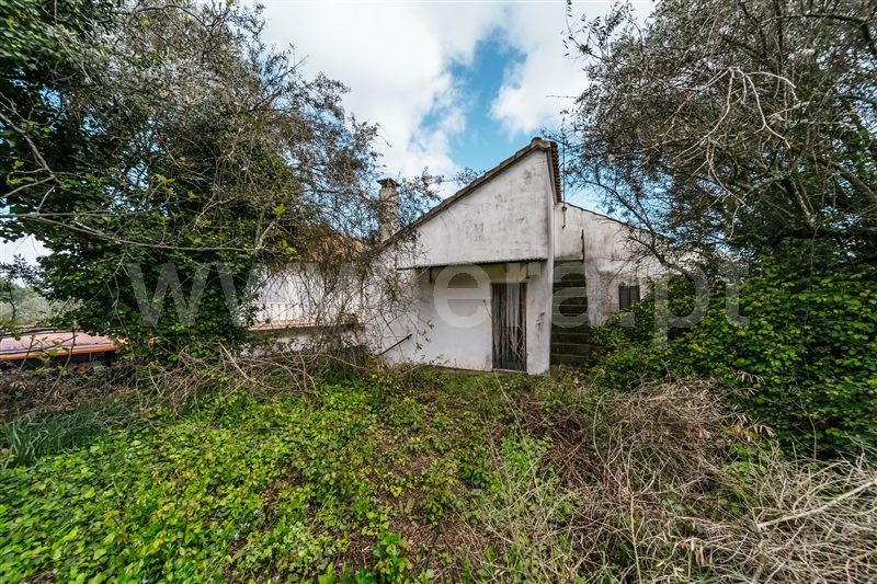 Moradia T2 Fundão, Donas - 996936 - 14