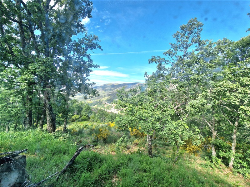 Moradia T2 à venda em Famalicão, Guarda — foto 2