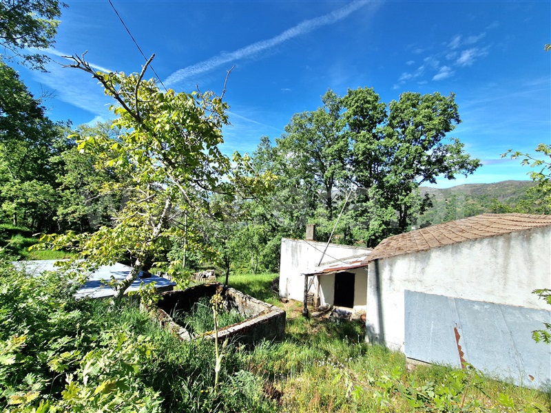 Moradia T2 à venda em Famalicão, Guarda — foto 9