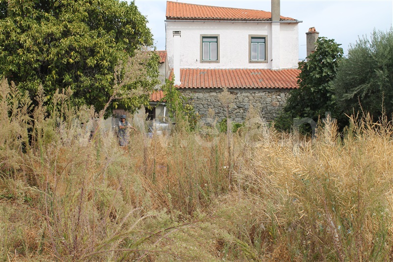 Moradia T2 Idanha-a-Nova, Medelim - 1508460 - 18