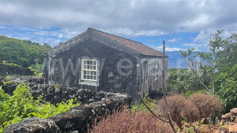 Moradia T2 Lajes do Pico, Ribeirinha - 1491382 - 1