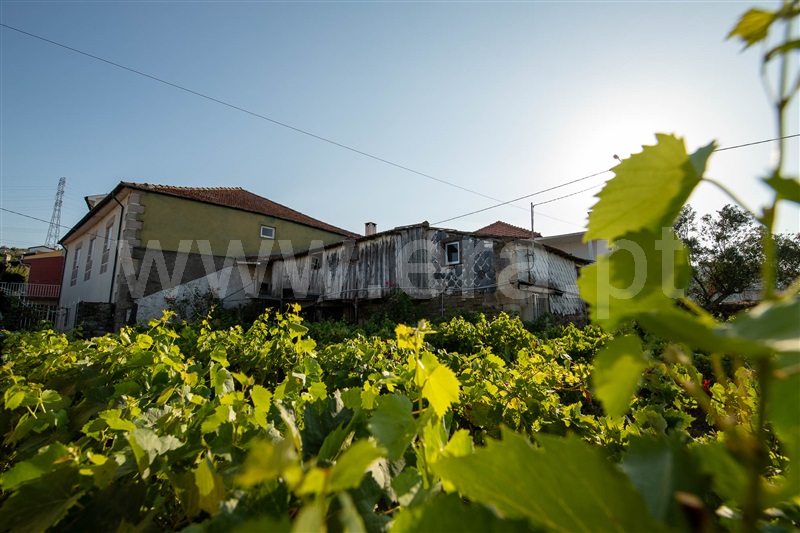 Moradia T2 à venda em Cambres, Lamego — foto 11