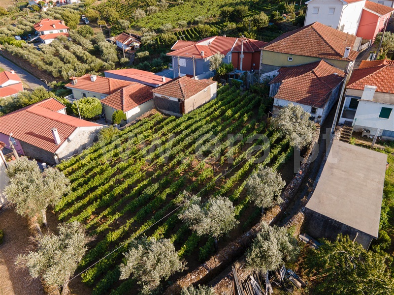 Moradia T2 à venda em Cambres, Lamego — foto 12