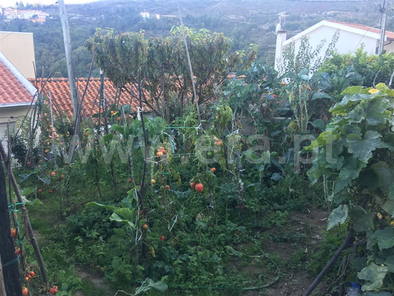 Moradia T2 Lamego, Ferreiros de Avões - 1223459 - 8