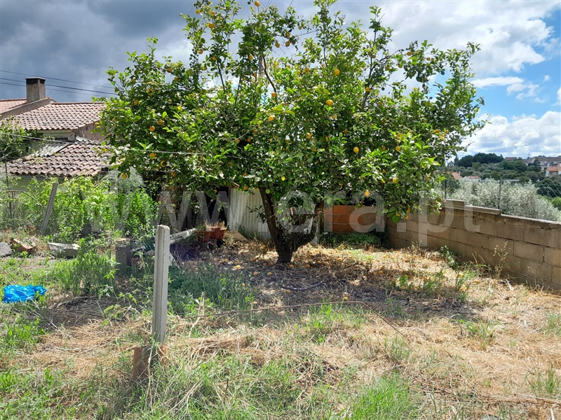 Moradia T2 Mação, Envendos - 1483842 - 10