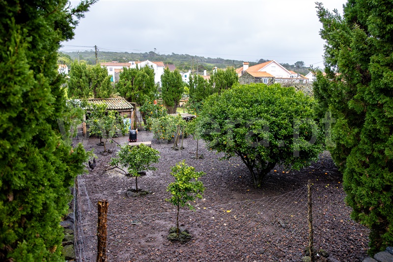 Moradia T2 à venda em Candelária, Madalena — foto 18