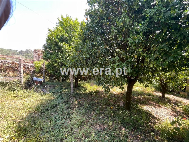 Moradia T2 à venda em Santiago de Cassurrães e Póvoa de Cervães, Mangualde — foto 15