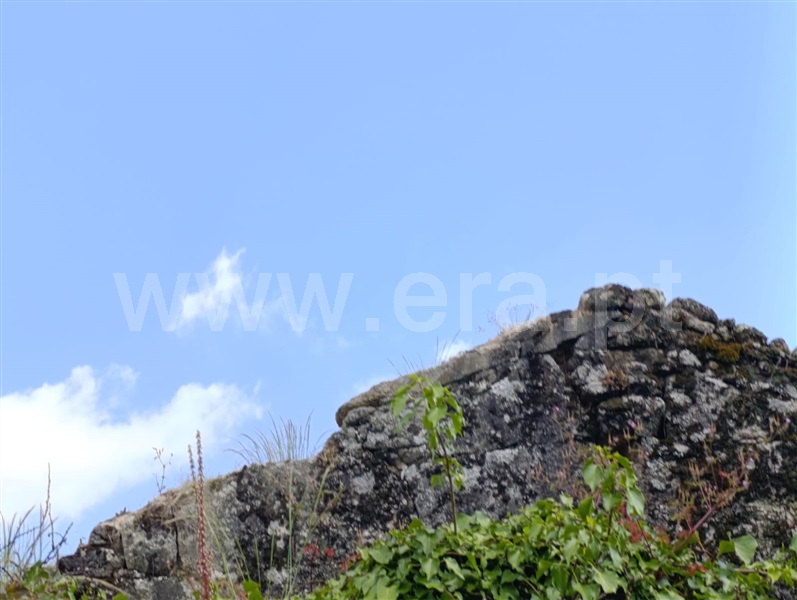 Moradia T2 Mangualde, Tavares (Chãs, Várzea e Travanca) - 1490838 - 1