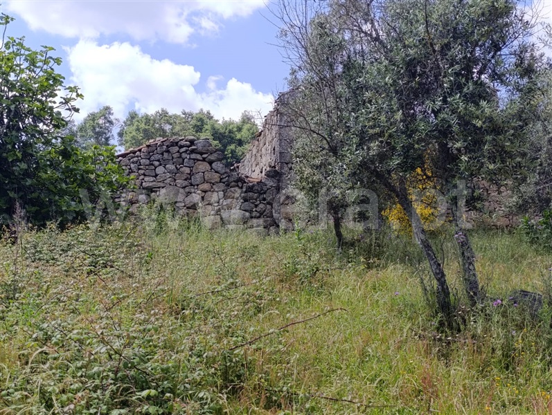 Moradia T2 Mangualde, Tavares (Chãs, Várzea e Travanca) - 1490838 - 3