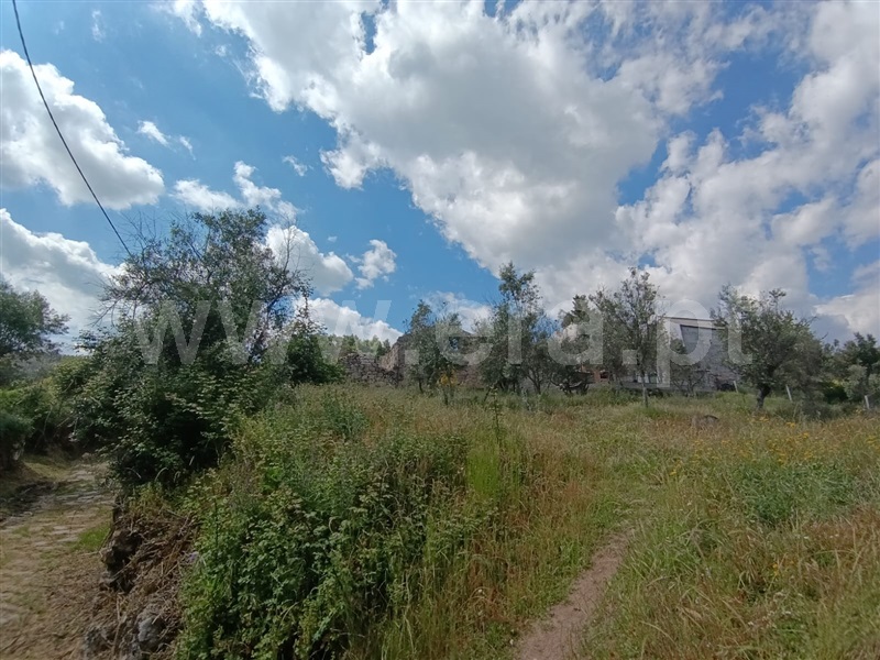 Moradia T2 Mangualde, Tavares (Chãs, Várzea e Travanca) - 1490838 - 4