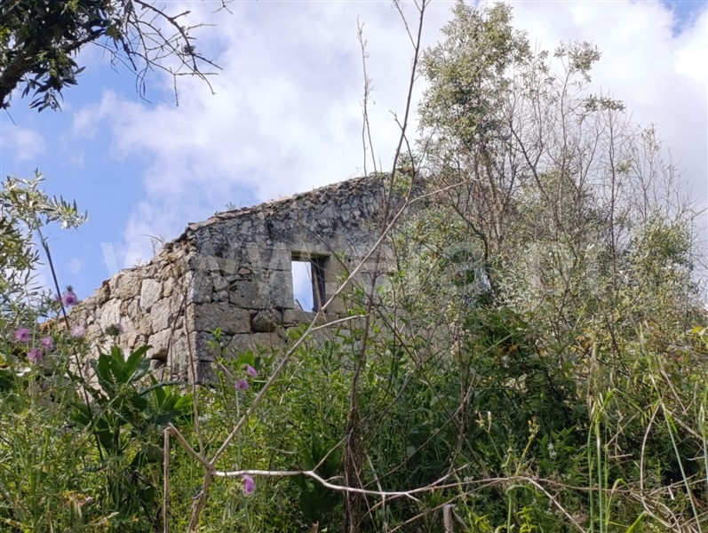 Moradia T2 Mangualde, Tavares (Chãs, Várzea e Travanca) - 1490838 - 7