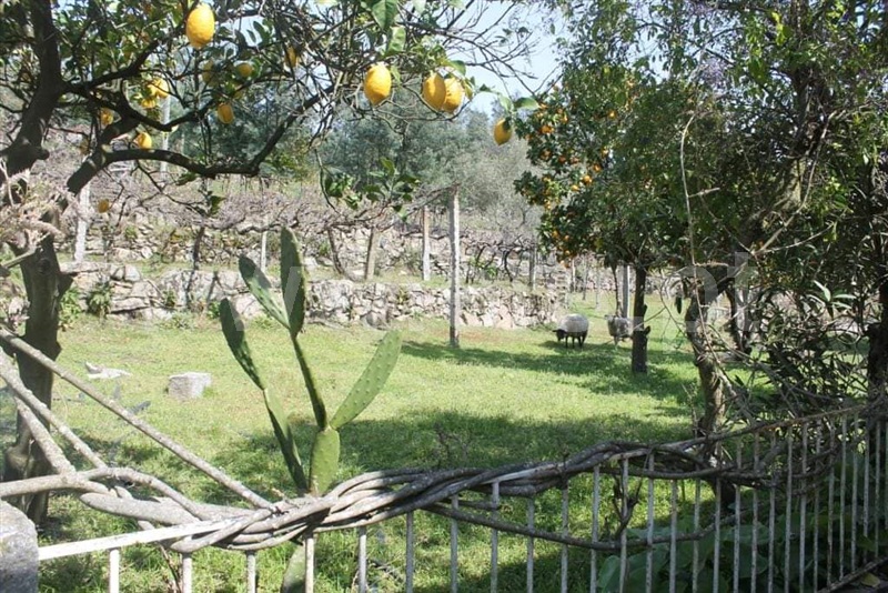 Moradia T2 Marco de Canaveses, Vila Boa do Bispo - 1096091 - 14