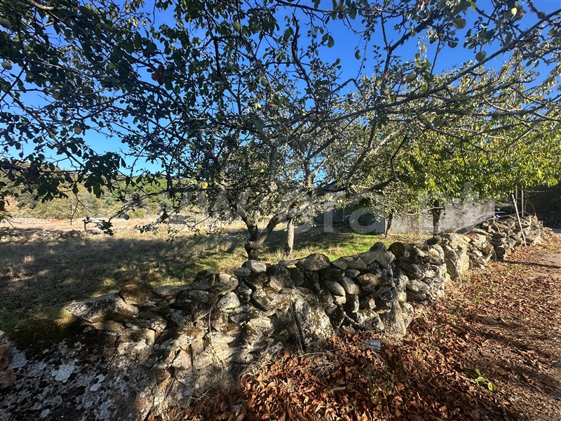 Moradia T2 à venda em Cervos, Montalegre — foto 4