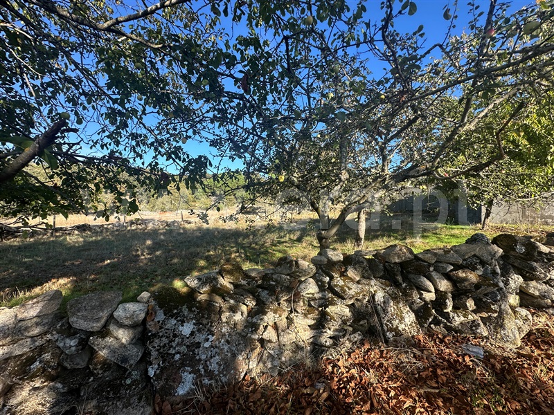 Moradia T2 à venda em Cervos, Montalegre — foto 5