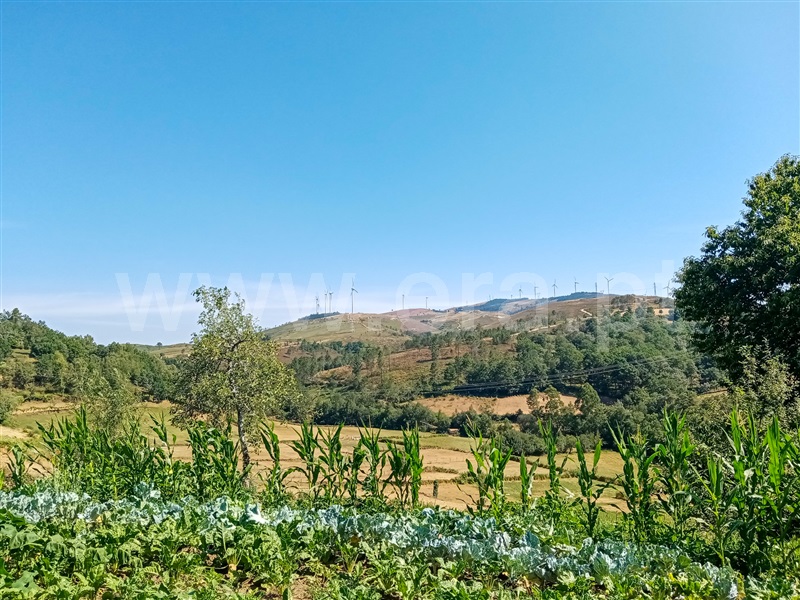 Moradia T2 Montalegre, Ferral - 1274269 - 6