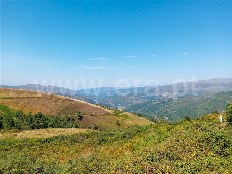 Moradia T2 Montalegre, Ferral - 1274269 - 14