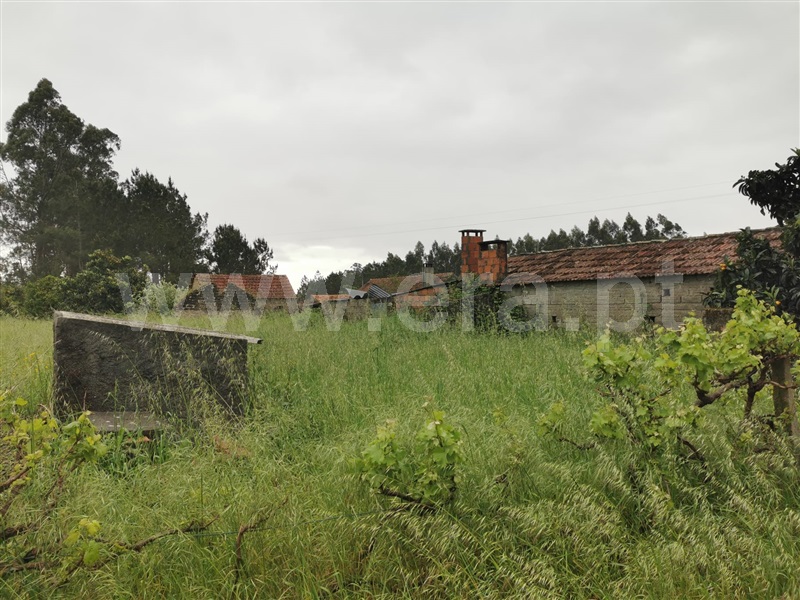 Moradia T2 Montemor-o-Velho, Resgatados - 1486988 - 3