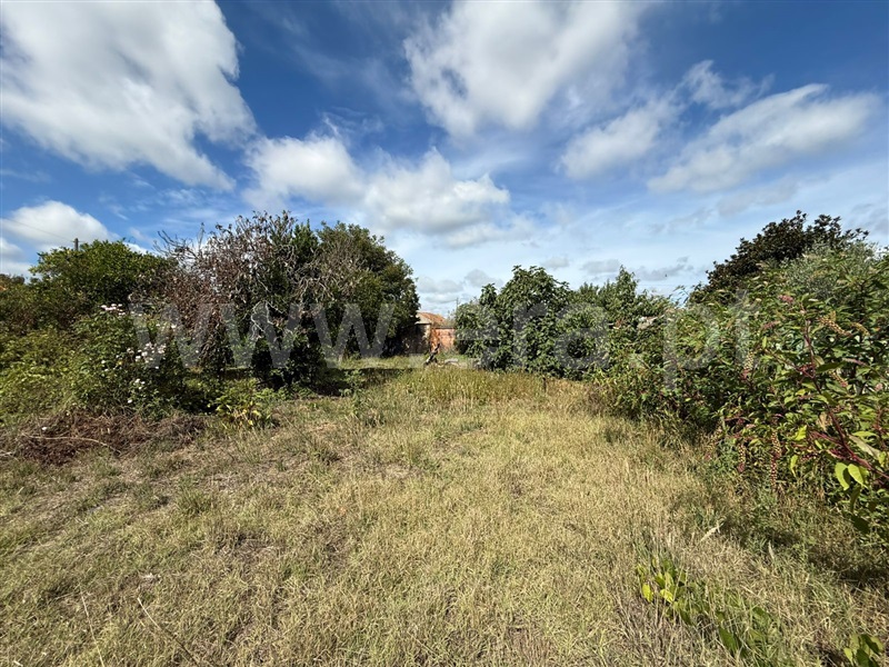 Moradia T2 à venda em Santo Varão, Montemor-o-Velho — foto 16