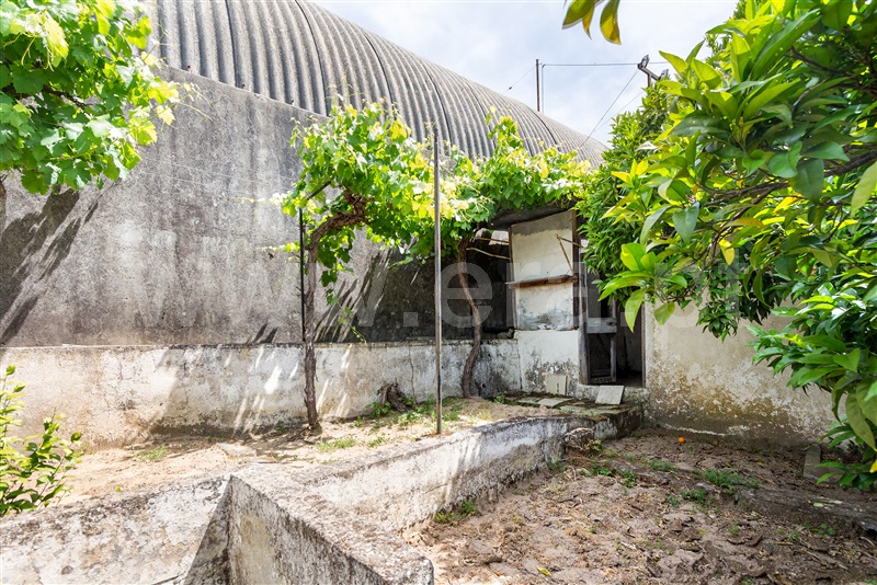 Moradia T2 com Quintal Mora, Cabeção - 1482497 - 16