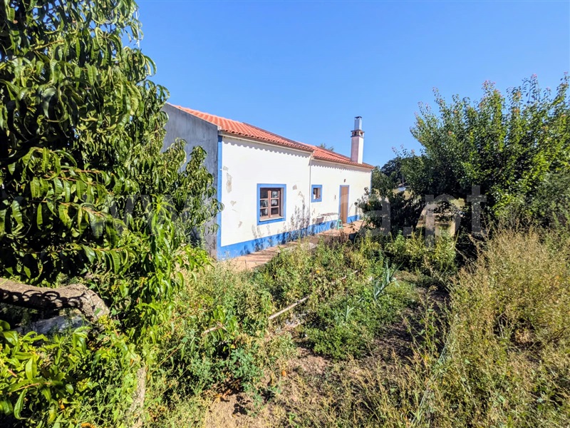 Moradia T2 / Odemira, Relíquias