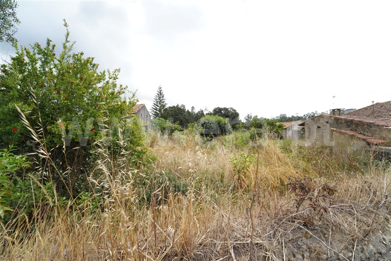 Moradia T2 à venda em Loureiro, Oliveira de Azeméis — foto 15