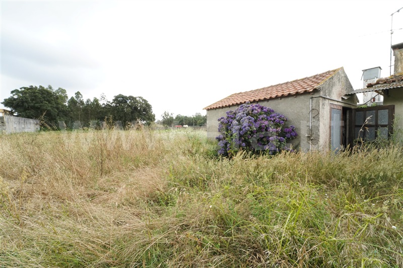 Moradia T2 à venda em Loureiro, Oliveira de Azeméis — foto 16