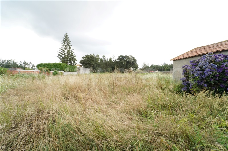 Moradia T2 à venda em Loureiro, Oliveira de Azeméis — foto 20