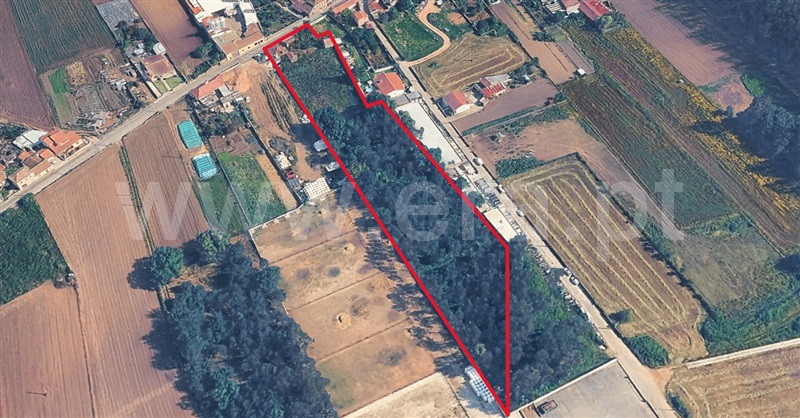 Moradia T2 à venda em Loureiro, Oliveira de Azeméis — foto 3
