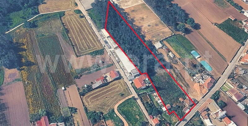 Moradia T2 à venda em Loureiro, Oliveira de Azeméis — foto 4