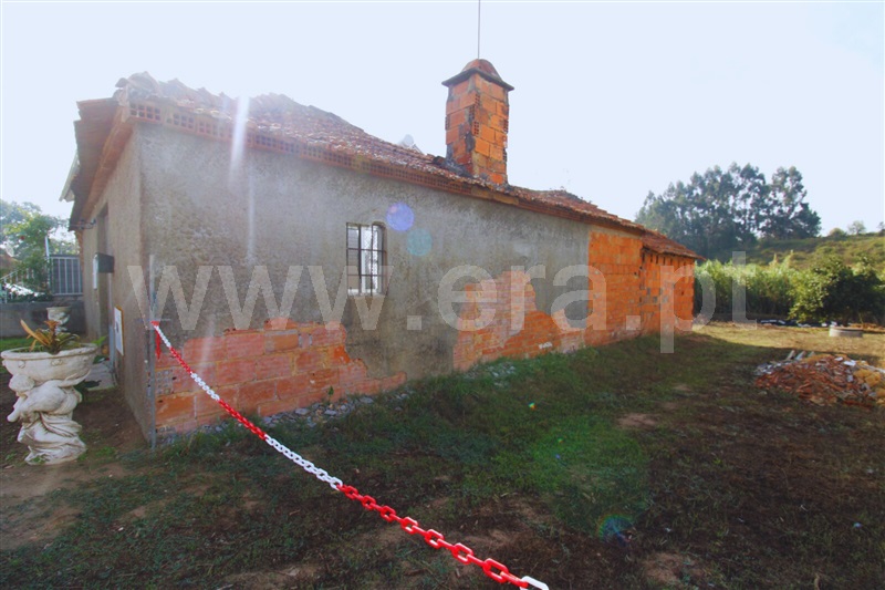 Moradia T1 com Terreno Oliveira do Bairro, Bustos, Troviscal e Mamarrosa - 1506565 - 3