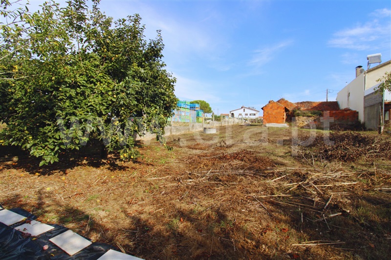 Moradia T1 com Terreno Oliveira do Bairro, Bustos, Troviscal e Mamarrosa - 1506565 - 16