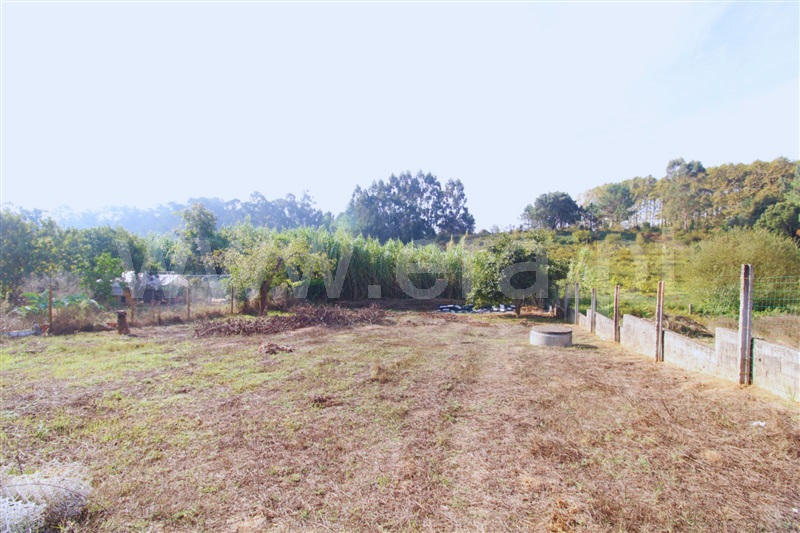 Moradia T1 com Terreno Oliveira do Bairro, Bustos, Troviscal e Mamarrosa - 1506565 - 17