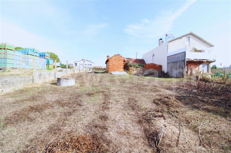 Moradia T1 com Terreno Oliveira do Bairro, Bustos, Troviscal e Mamarrosa - 1506565 - 18
