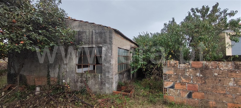 Moradia T2 à venda em Malhapão Oiã, Oliveira do Bairro — foto 3