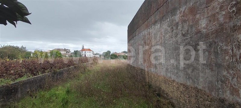 Moradia T2 à venda em Malhapão Oiã, Oliveira do Bairro — foto 5