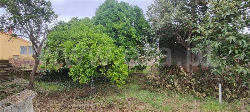 Moradia T2 à venda em Malhapão Oiã, Oliveira do Bairro — foto 6