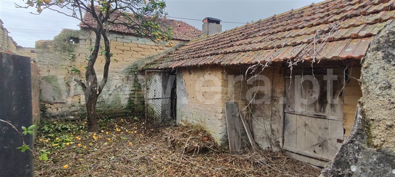 Moradia T2 à venda em Malhapão Oiã, Oliveira do Bairro — foto 8