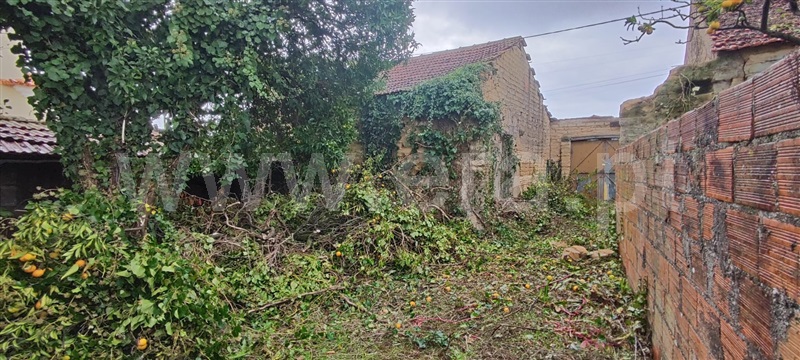 Moradia T2 à venda em Malhapão Oiã, Oliveira do Bairro — foto 10