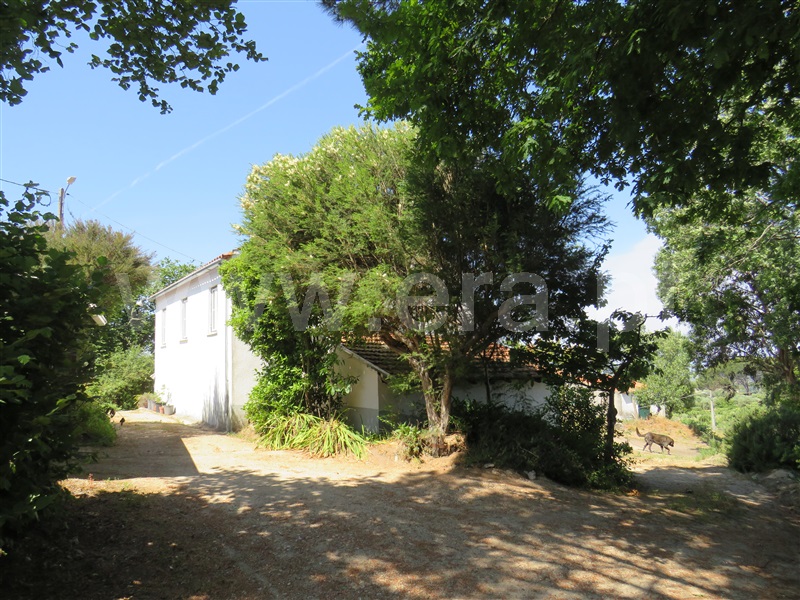 Moradia T2 Oliveira do Hospital, Lagos da Beira - 1298099 - 24