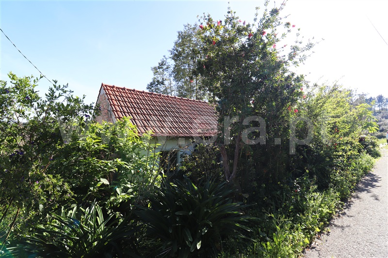 Moradia T2 Ourém, Freixianda, Ribeira do Fárrio e Formigais - 1389154 - 3