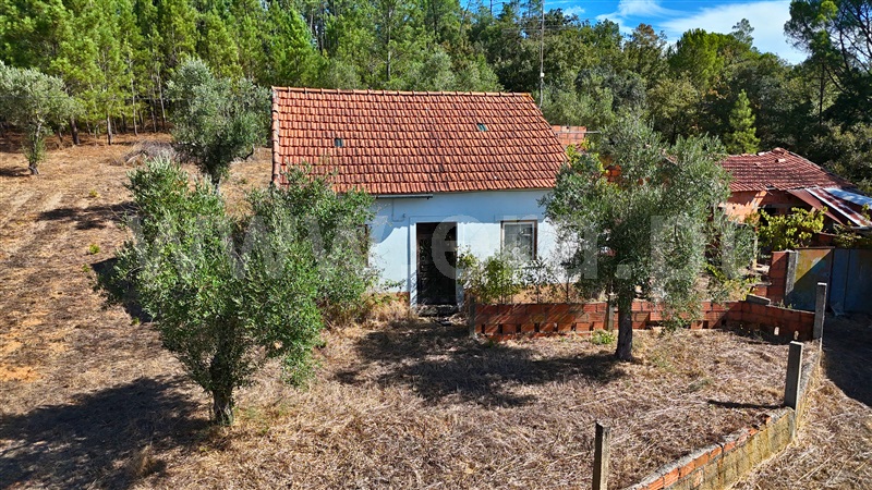 Moradia T2 com Terreno Ourém, Freixianda, Ribeira do Fárrio e Formigais - 1502287 - 3