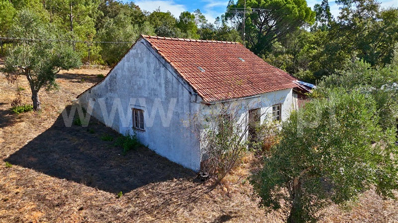 Moradia T2 com Terreno Ourém, Freixianda, Ribeira do Fárrio e Formigais - 1502287 - 17