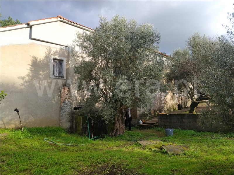Moradia T2 Ourém, Matas e Cercal - 1140679 - 8