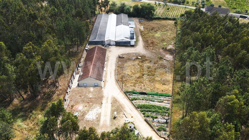 Moradia T2 / Ourém, Rio de Couros e Casal dos Bernardos