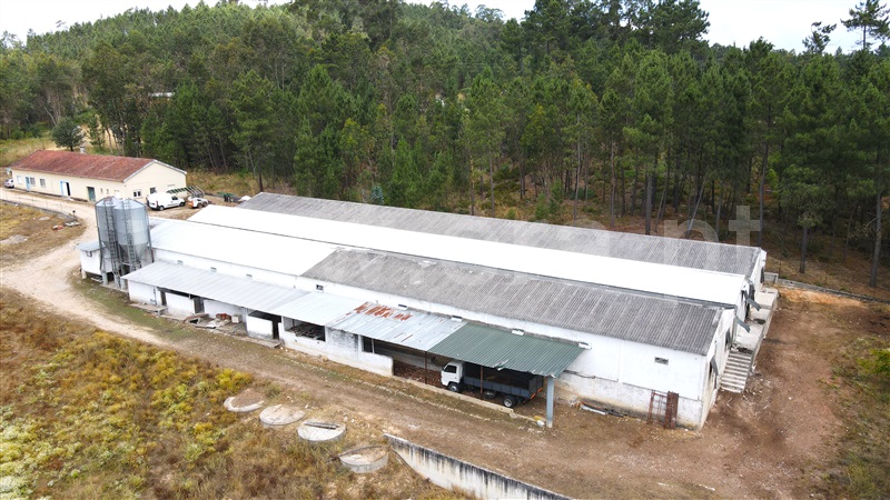 Moradia T2 com Terreno Ourém, Rio de Couros e Casal dos Bernardos - 1182100 - 2