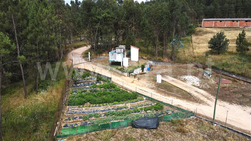 Moradia T2 com Terreno Ourém, Rio de Couros e Casal dos Bernardos - 1182100 - 4