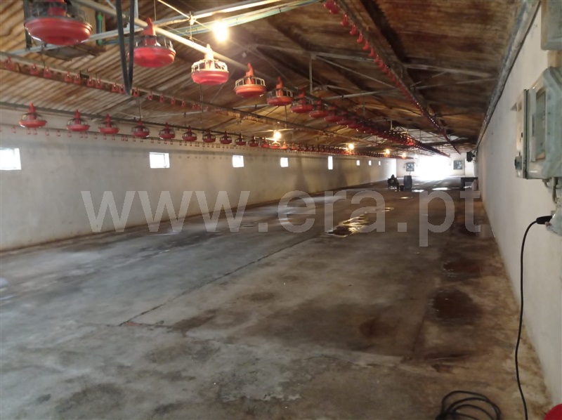 Moradia T2 com Terreno Ourém, Rio de Couros e Casal dos Bernardos - 1182100 - 9