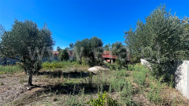 Moradia T2 Ourém, Rio de Couros e Casal dos Bernardos - 1424537 - 21